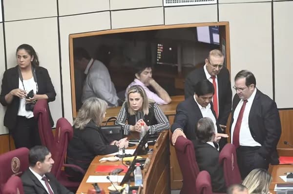 Senado aprueba en general polémico proyecto “Hambre Cero”