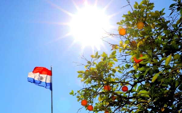 Meteorología: Feriado cálido a caluroso con 35° de máxima