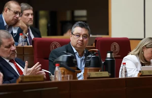 Senadores buscan regular ONG y su financiamiento extranjero