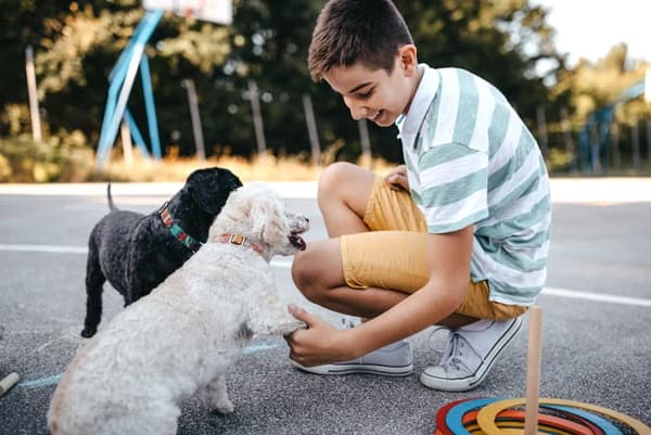 Mascotas: aliados contra la depresión en adolescentes