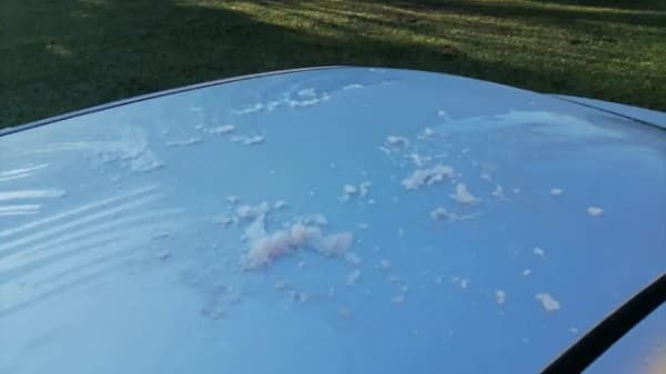 Concepción y Chaco registran primeras heladas del 2024