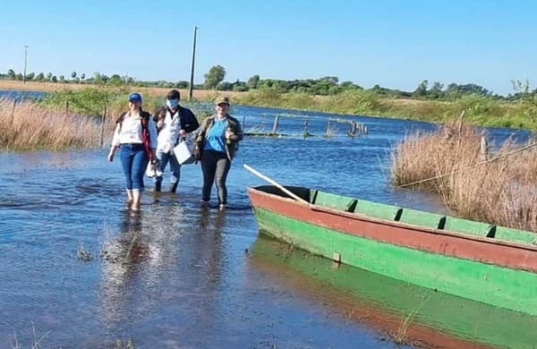 Casos de picaduras de animales ponzoñosos en zonas afectadas por inundaciones