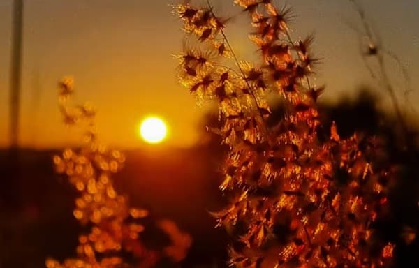 Pronostican viernes fresco a cálido sin lluvias en todo Paraguay