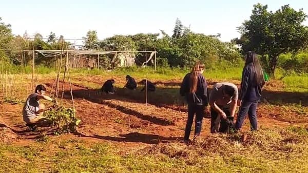 Estudiantes del Colegio San Agustín dan clases bajo árboles y sin agua potable en Coronel Oviedo