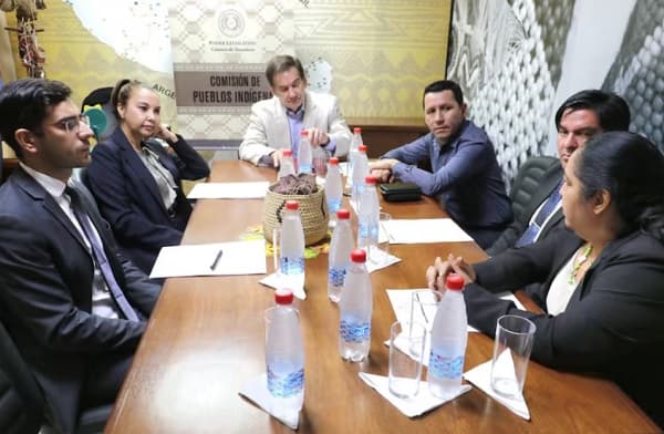 Uso político de la Comisión de Pueblos Indígenas en el Senado