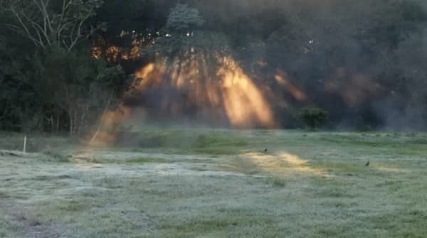 Heladas invernales impactan en Itapúa y Ñeembucú