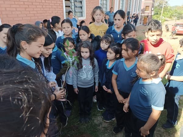 ¡Villarrica se viste de verde! 5.000 árboles para reforestar