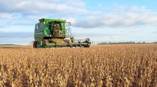 Paraguay: El potencial sojero que necesita políticas públicas