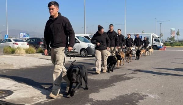 Senad forma nuevos canes y guías detectores de drogas en Chile