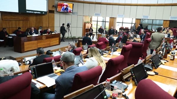 Senado sanciona ley contra robo de energía, pero excluye a funcionarios públicos