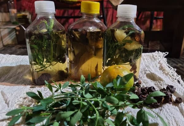 Carrulim: médicos alertan no superar 7 tragos