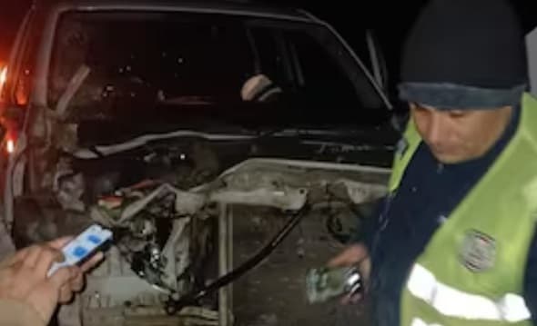 Ruta PY19: Animales sueltos y otros peligros amenazan a conductores