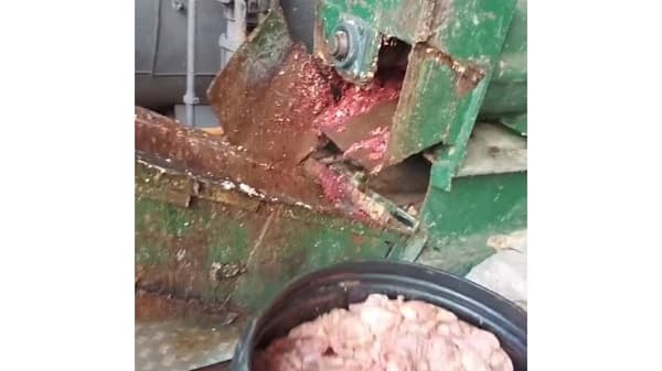 Frigoríficos de Asunción enfrentan cierre por faltas sanitarias