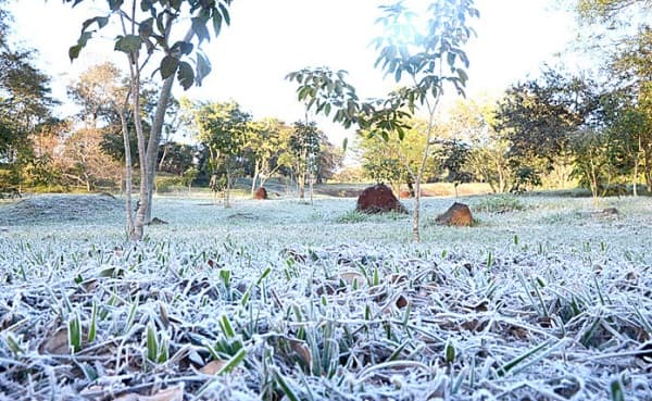 Julio se perfila como el mes más frío con heladas inminentes