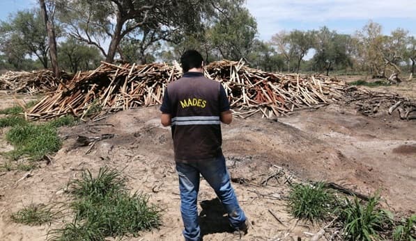 Mades anula documentos extraviados tras detectar permisos falsos