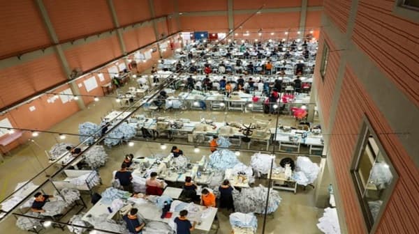 Repunte económico: Manufactura y servicios lideran la recuperación post-pandemia