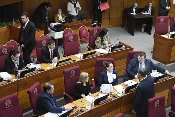 Senado aprueba creación de 331 cargos y aumenta fondos del IPS