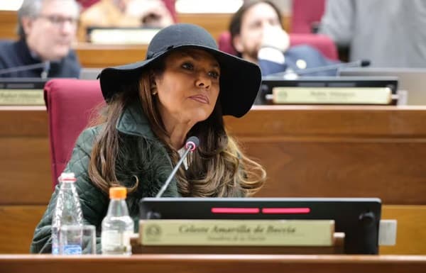 Celeste Amarilla pide vehículo blindado por temor a amenazas