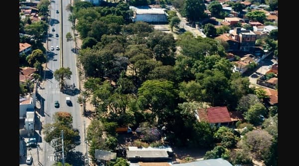 Senado rechaza proyecto para salvar el Bosque San Vicente