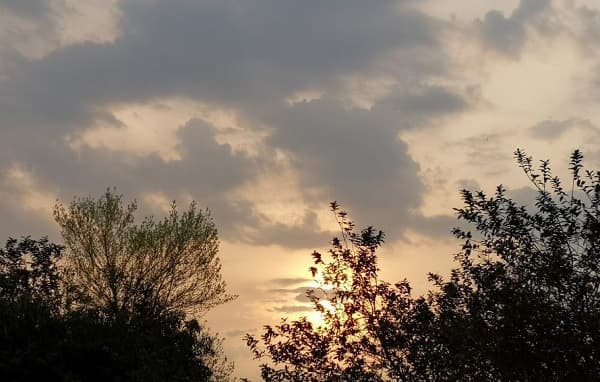 Clima fresco a cálido con vientos del noreste este viernes