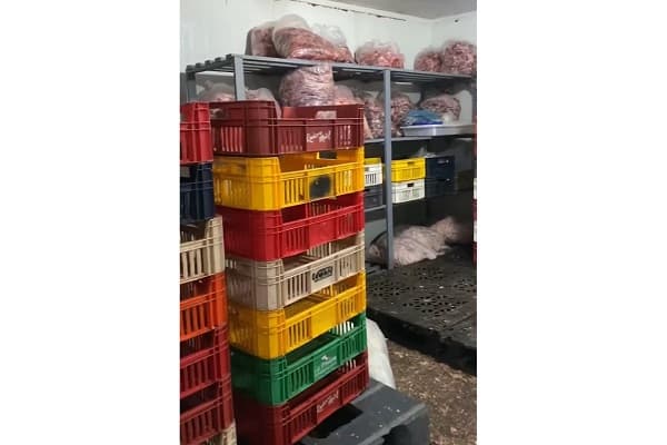 Cierran frigoríficos clandestinos en Tablada Nueva