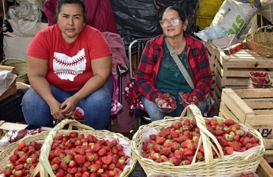 Frutillas a precio accesible inundan el Mercado de Abasto