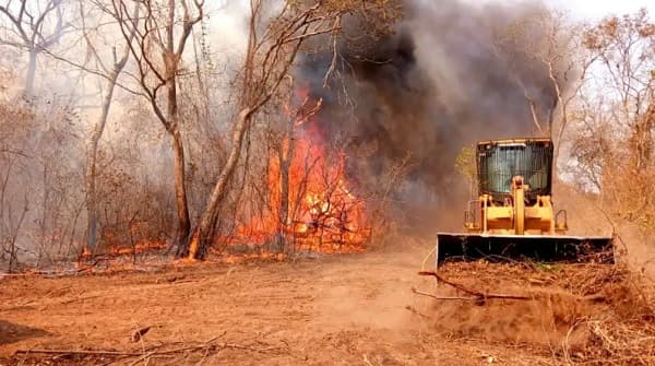 Chaco en llamas: 200.000 hectáreas consumidas por incendios forestales