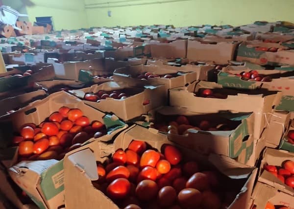 Decomisan 40 toneladas de tomate de contrabando en Asunción