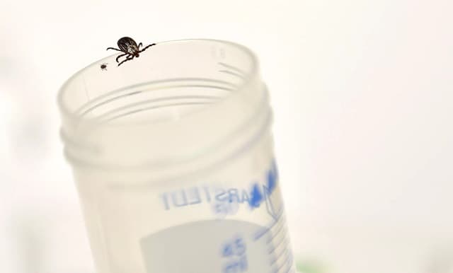 “Cazadores de virus” rastrean amenazas para evitar pandemias