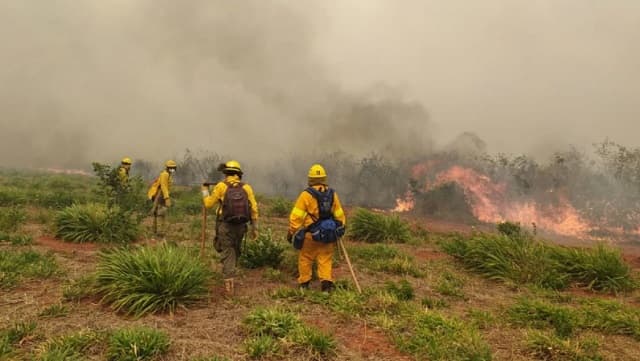 Cambio del viento agrava incendios y casi atrapa a bomberos en el Chaco