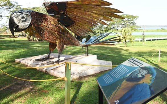 Refugio Mbaracayú sumará esculturas de animales silvestres como atractivo