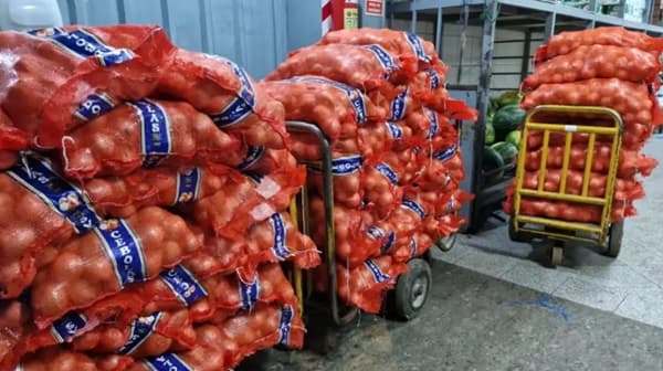 Incautan cebollas de contrabando en comercio mayorista de Luque