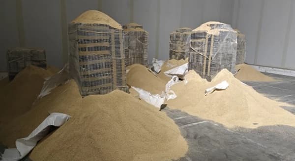 Incautan 3.600 kilos de cocaína en Portugal en carga procedente de Paraguay