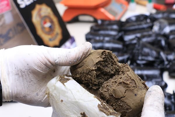 Senad incauta marihuana VIP enviada desde EE.UU. a Paraguay