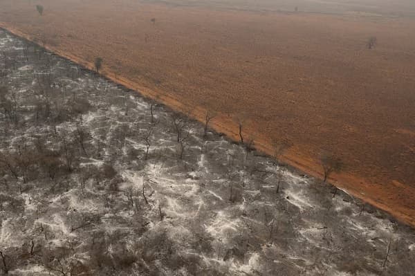 Experto alerta: Paraguay atraviesa grave crisis climática