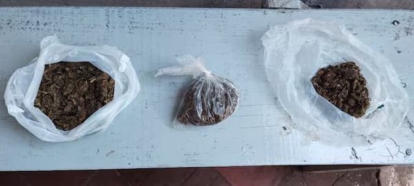 Alumnos colocan marihuana en despacho de director durante charla antidrogas