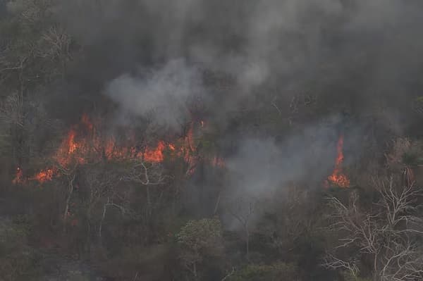 Reactivación del incendio en el Monumento Cerro Chovoreca
