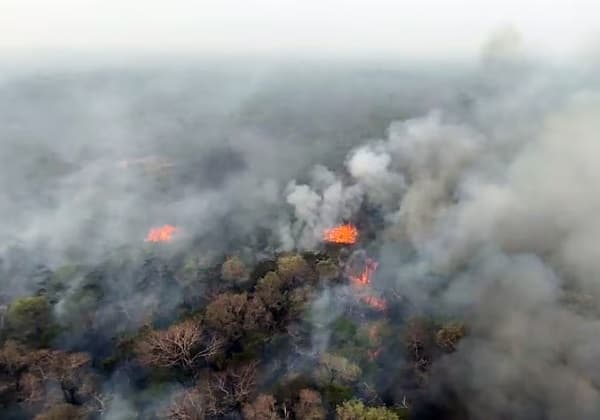Incendio en Chovoreca: Naturaleza frena avance, pero situación sigue crítica
