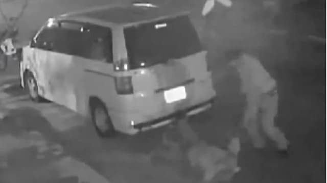 Funcionario de Dinatrán detenido por brutal agresión a su pareja