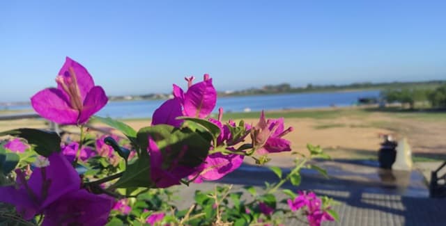 Ambiente caluroso predominará en gran parte del país durante la semana