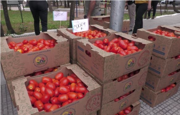 Productos frutihortícolas de contrabando, un riesgo para el consumo