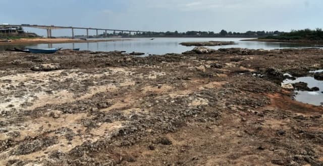 Lluvias insuficientes agravarán la bajante del río Paraguay