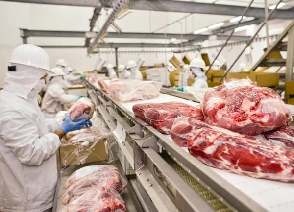 Gobierno y frigoríficos acordaron medidas para contener el precio de la carne
