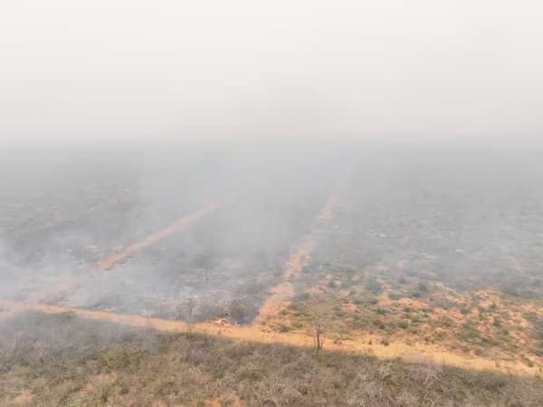 Incendios devastan 14.000 hectáreas de comunidad Chovoreca