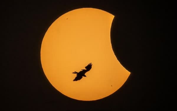 Paraguay vivirá hoy un eclipse solar parcial
