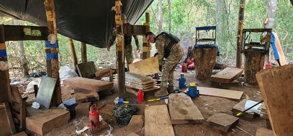Operativo en Canindeyú desmantela base narco de USD 4,6 millones