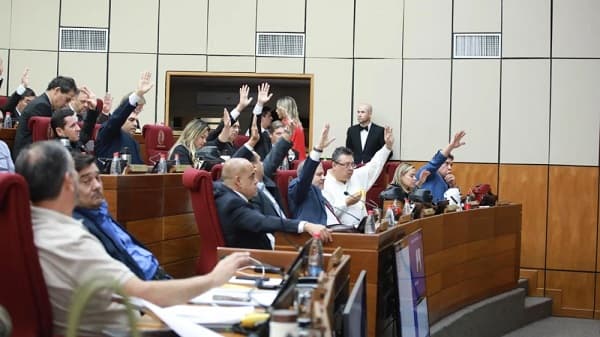 Senado aprueba creación del RUN pese a críticas de diversos sectores