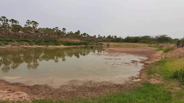Sequía e incendios agravan crisis de comunidades indígenas chaqueñas