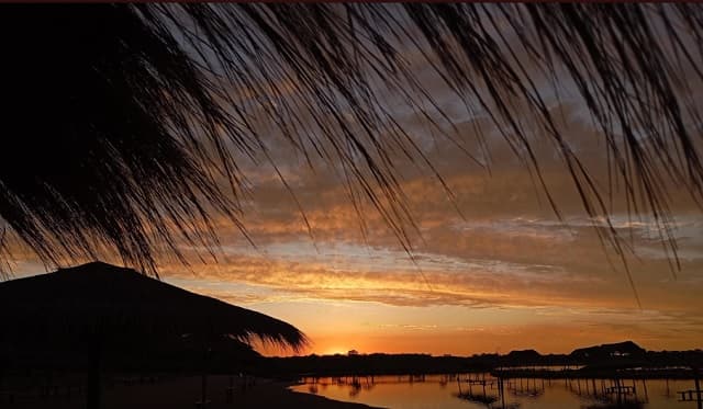 Ambiente fresco a cálido y vientos del sur en todo el país