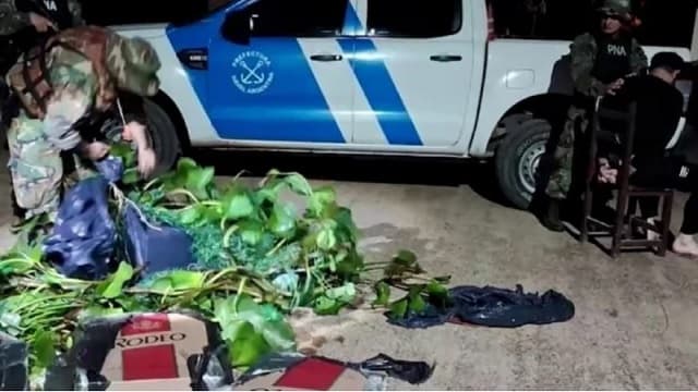 Argentina: Hombre disfrazado de camalote intentó ingresar contrabando desde el país